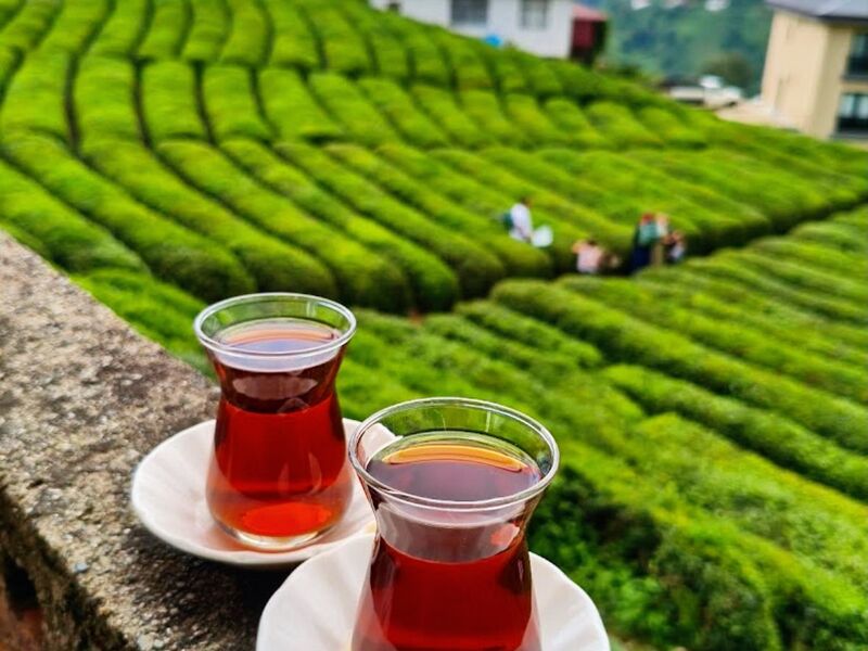 Doğu Karadeniz  Batum Turu 5 Gece 6 Gün – 3 Gece Otel Konaklamalı