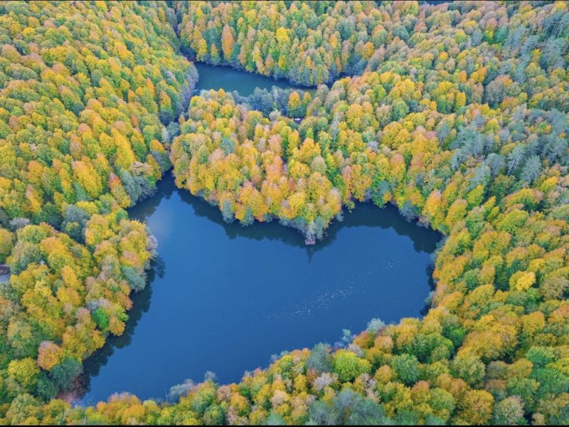 Rüya Gibi Batı Karadeniz Turu 2 Gece 2 Gün 1 Gece Otel Konaklamalı
